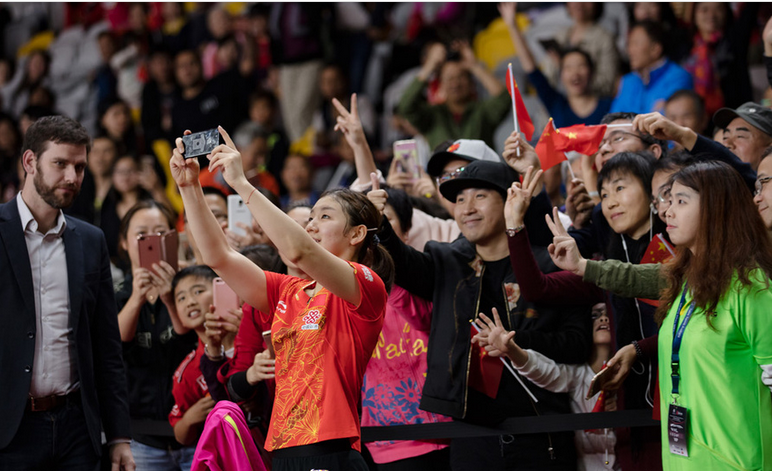 包含法国杯赛程吃紧；山东泰山国际比赛日门线救险；质疑声仍在；医务组通报恢复的词条